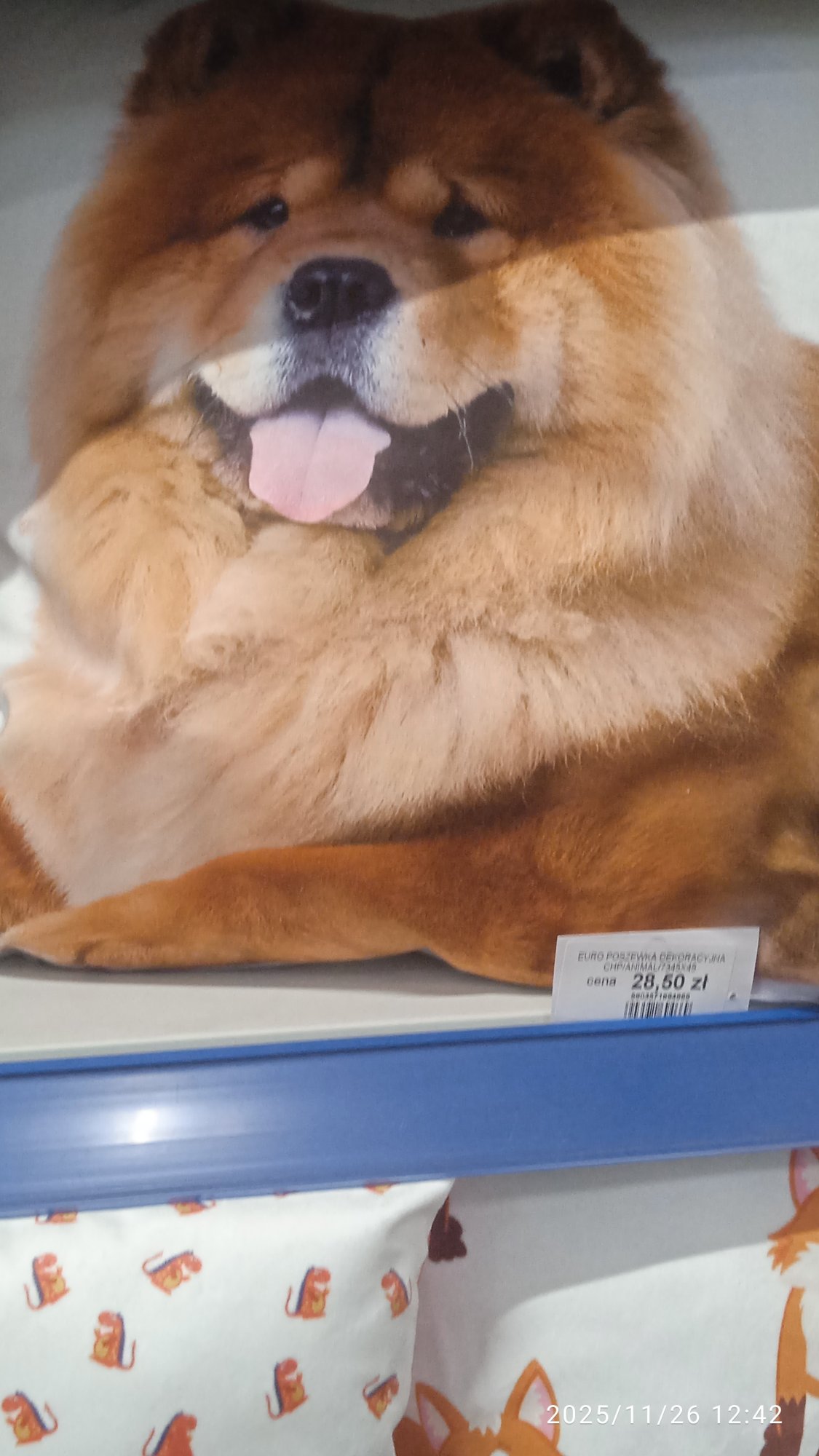 Numer rejestracyjny GTC 50539 posiada MERCEDES-BENZ SPRINTER 516 CDI - GTC50539