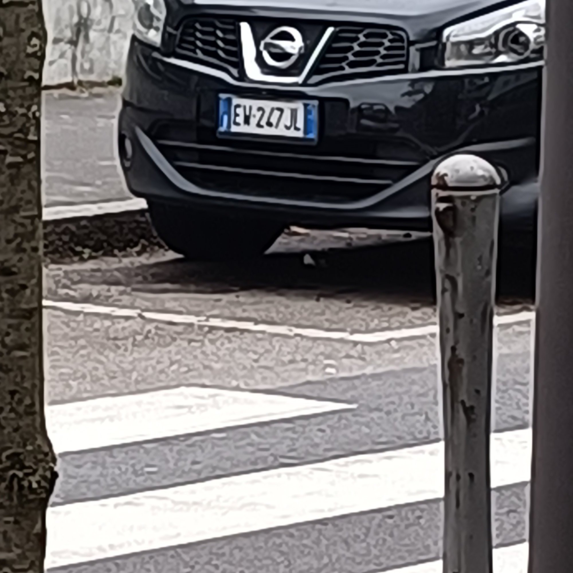 Numer rejestracyjny EW247JL posiada NISSAN Qashqai 1a serie