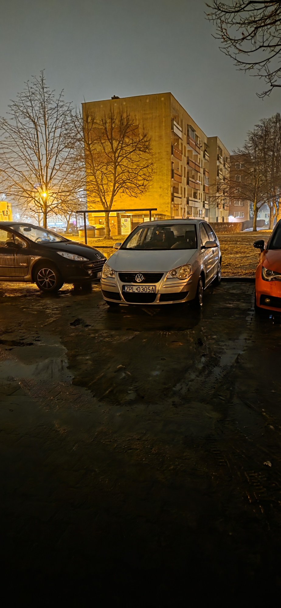 Mistrz parkowania w pojeździe o numerach ZPL0305A