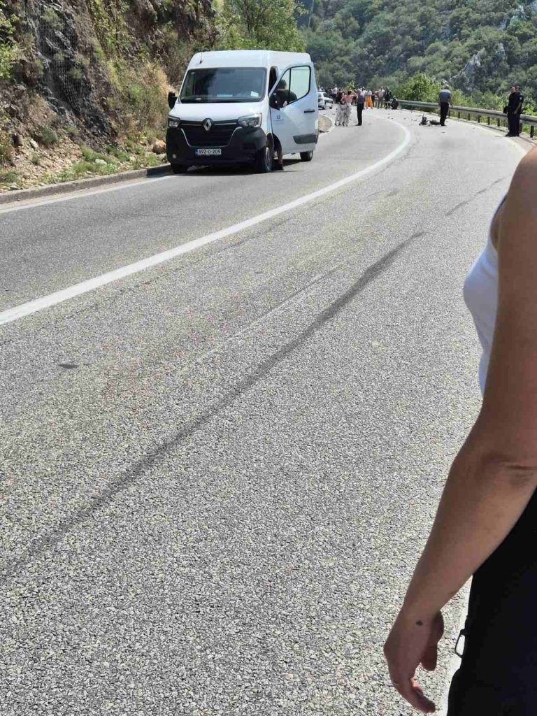 Numer rejestracyjny 192D2101 posiada Renault 