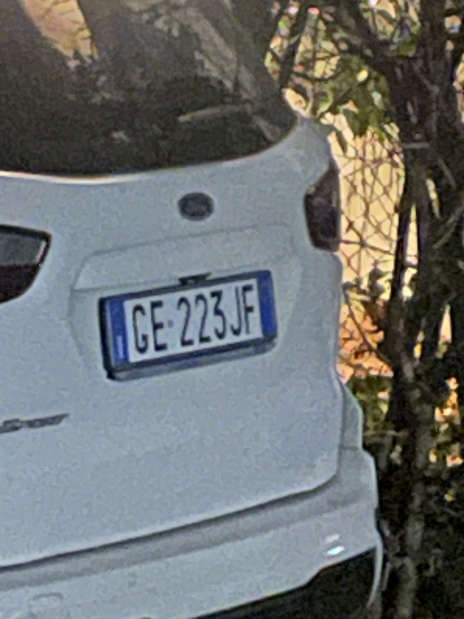 Numer rejestracyjny GE223JF posiada FORD EcoSport